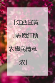 江西宜黄：志愿红助农惠民情意浓